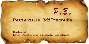 Pattantyus Bársonyka névjegykártya